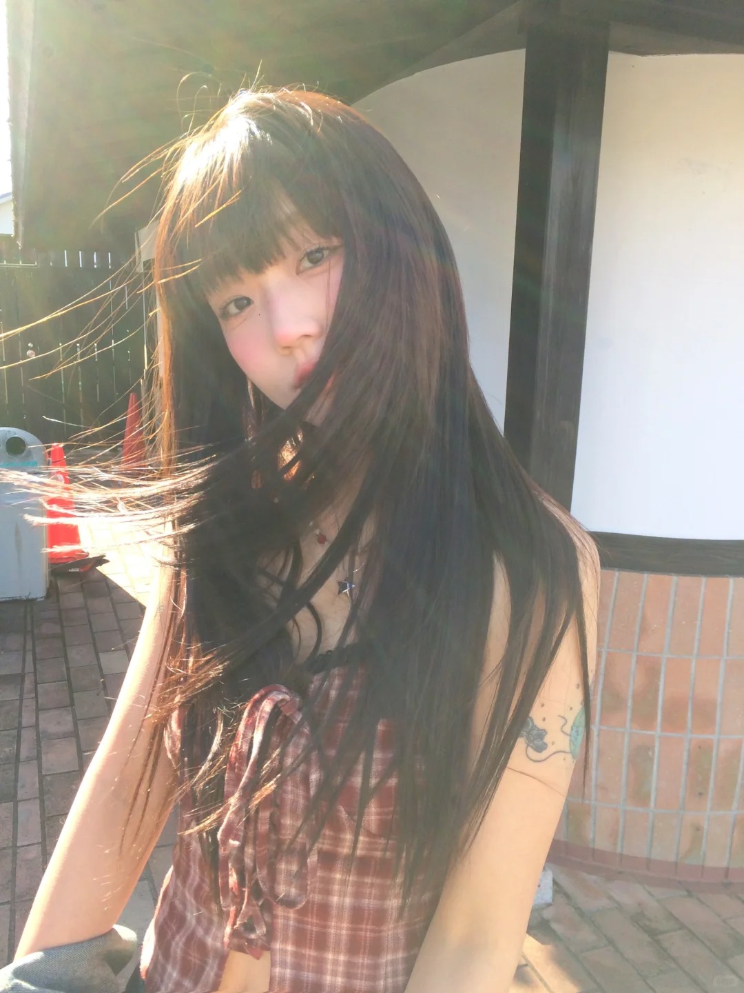 幸福小猫Z☡zᶻ.🐈‍
坐上小猫电车🚃🐈‍⬛ （已成年 审核别误判了求求