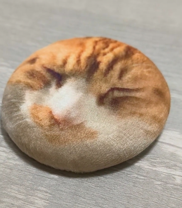 当我把猫做成毛绒