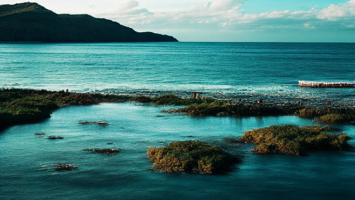 曾经的梦想，现在的回忆