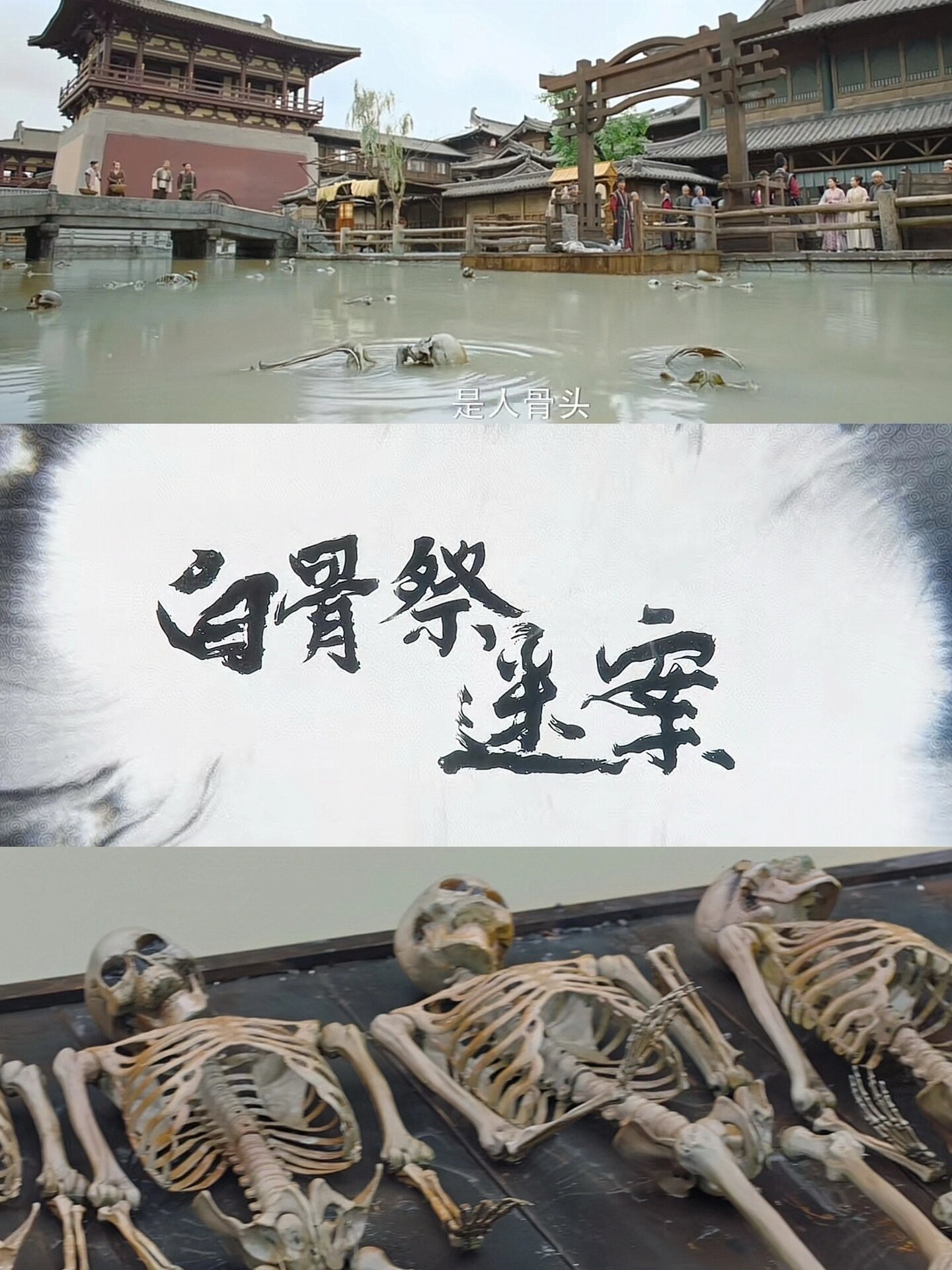 双男主探案剧‼️两大奇案惊悚悬疑!