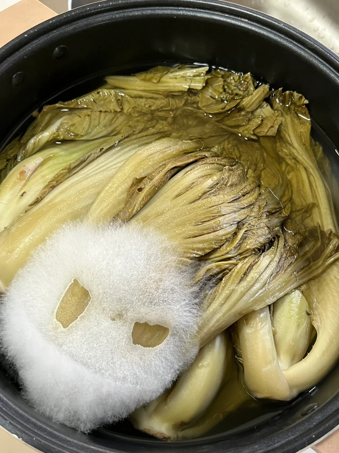 为什么我的酸菜会长白毛？