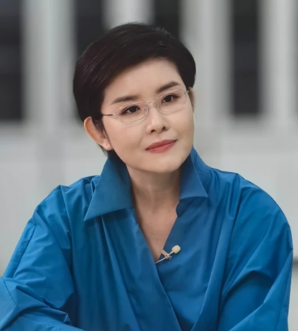 王宁，一位深受观众喜爱的传媒界佼佼