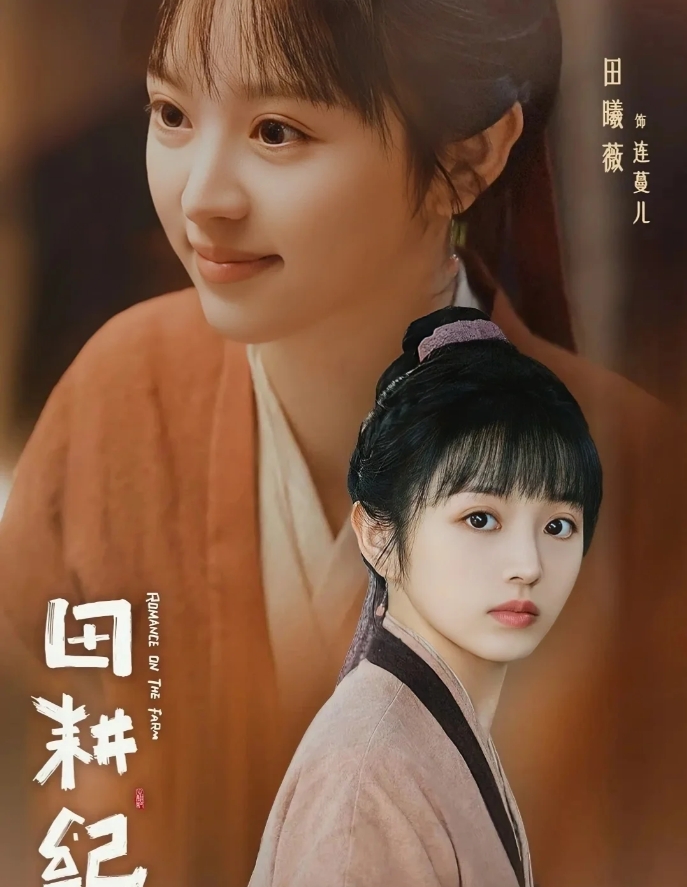 好剧推荐《田耕纪》