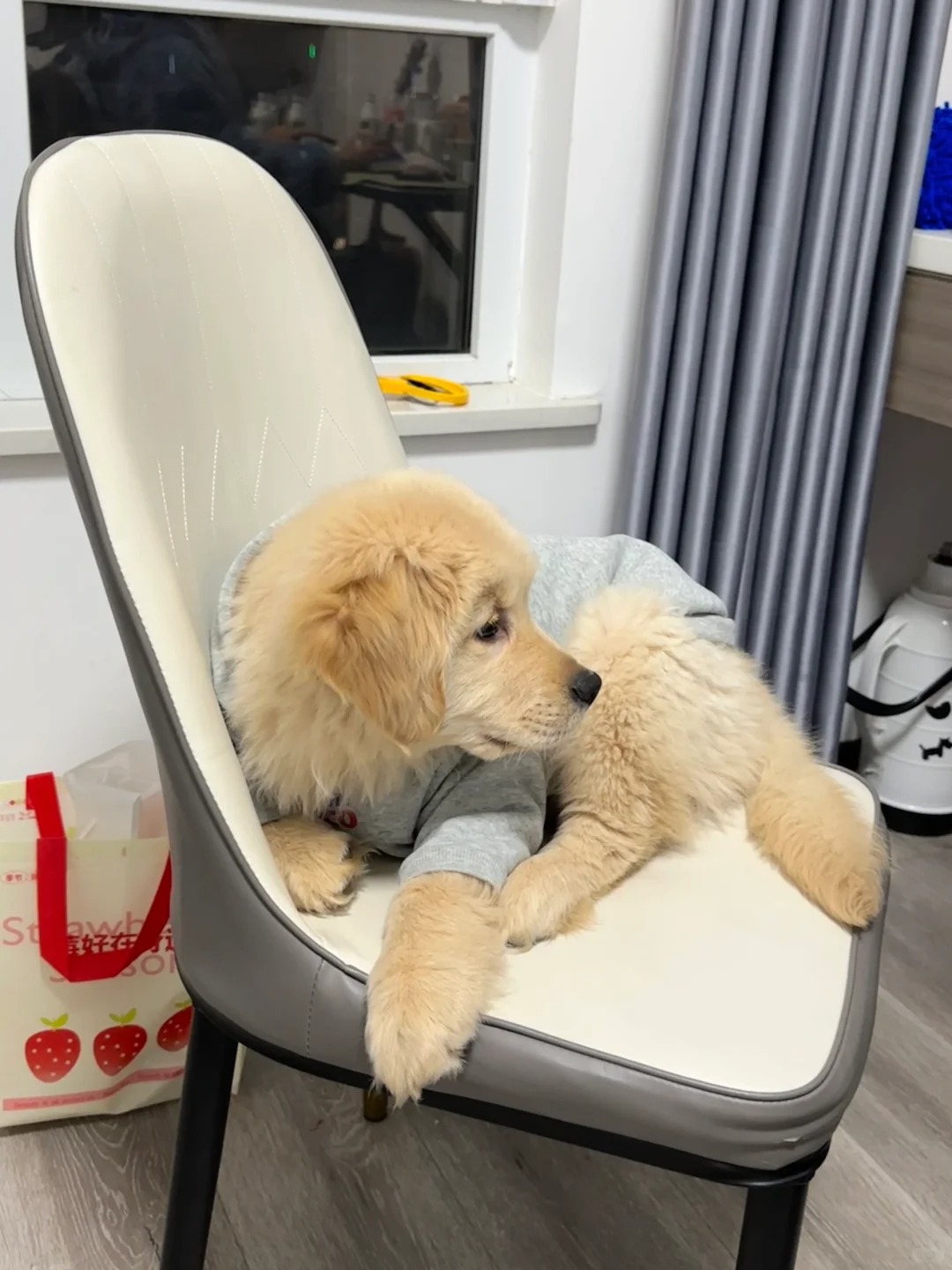 #爱依服 已成功打入爱依服内部有什么想问的随便问