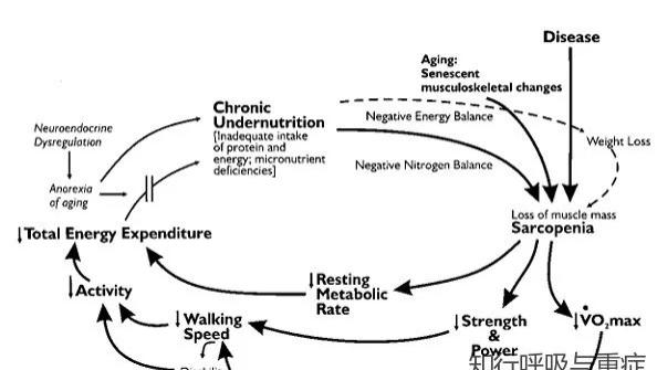 第201期 衰弱的概念、病理机制与评估策略