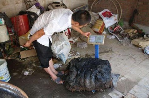 河北香河县的小伙子无意间捡到了一块80公斤的“太岁”，这个故事背后不仅仅是一块稀
