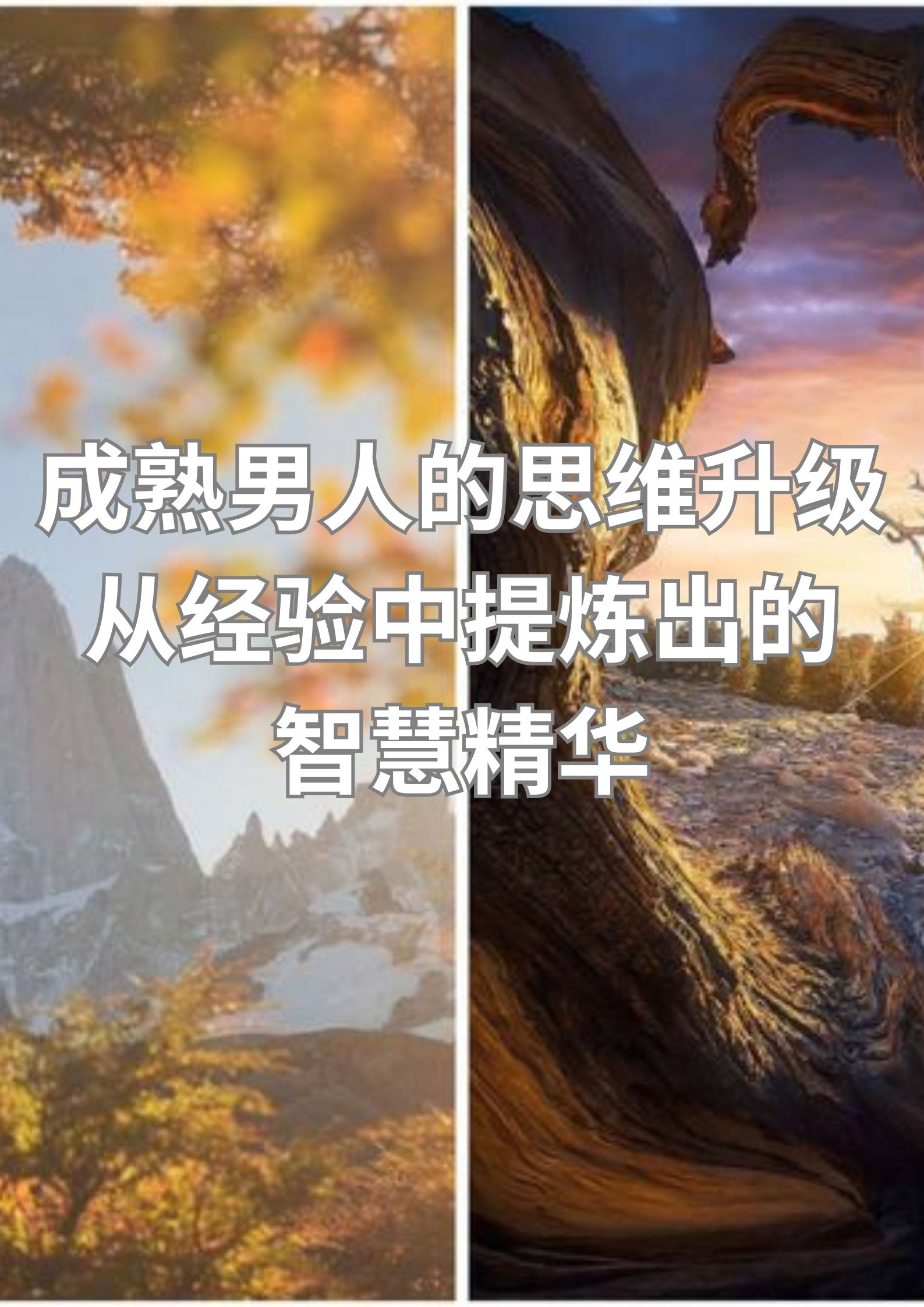 男人思维升级：从经验中提炼出的智慧精华。