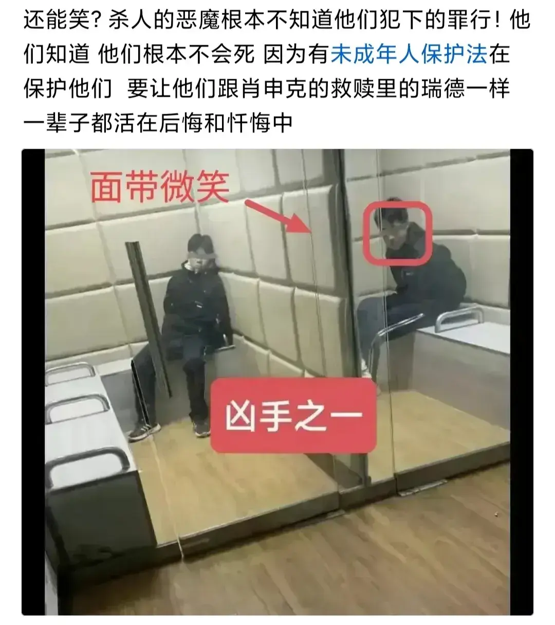 针对这起恶意事件，查阅了很多资料
儿童不能被判死刑，但不可能啥事也没有
1: 涉