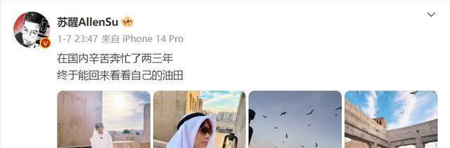 “苏醒这波操作，简直宠妻典范啊！带着老婆孩子迪拜豪华游，这哪里是录节目，分明就是