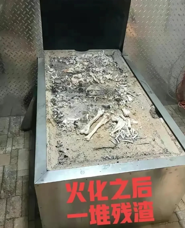 看到这张照片还有什么想不开的呢。
         再过30年我们70后的也收队