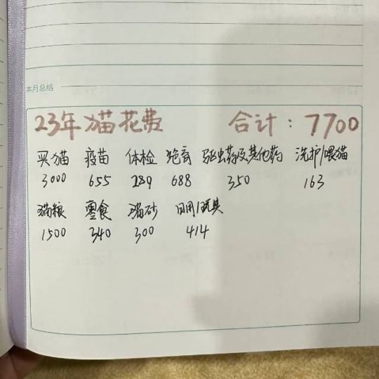 这不是养猫，而是养了个祖宗