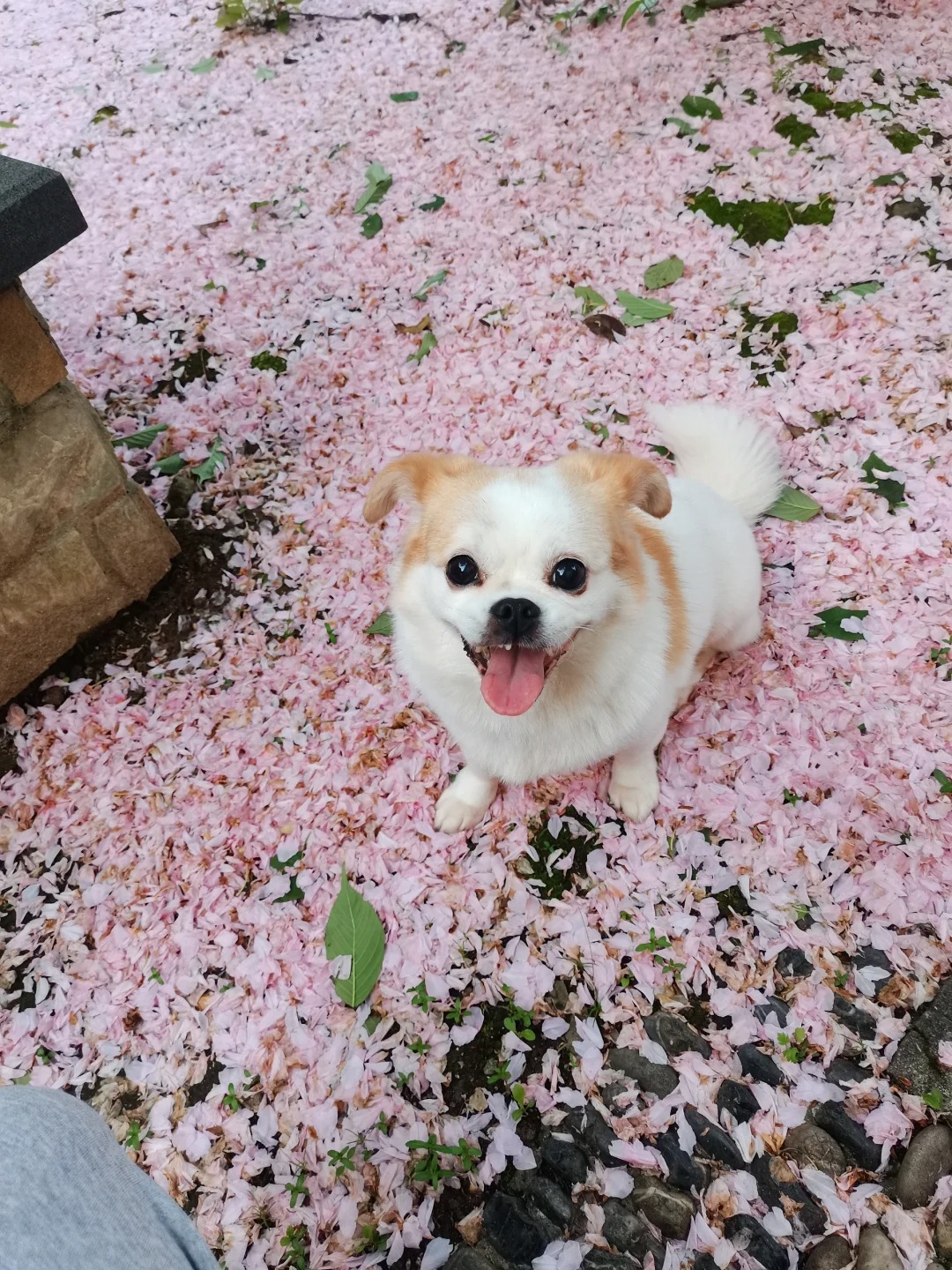 终于明白为什么有些男生挺优秀的但依旧单身
女方是我的闺蜜，也可以说是妹妹，以前经