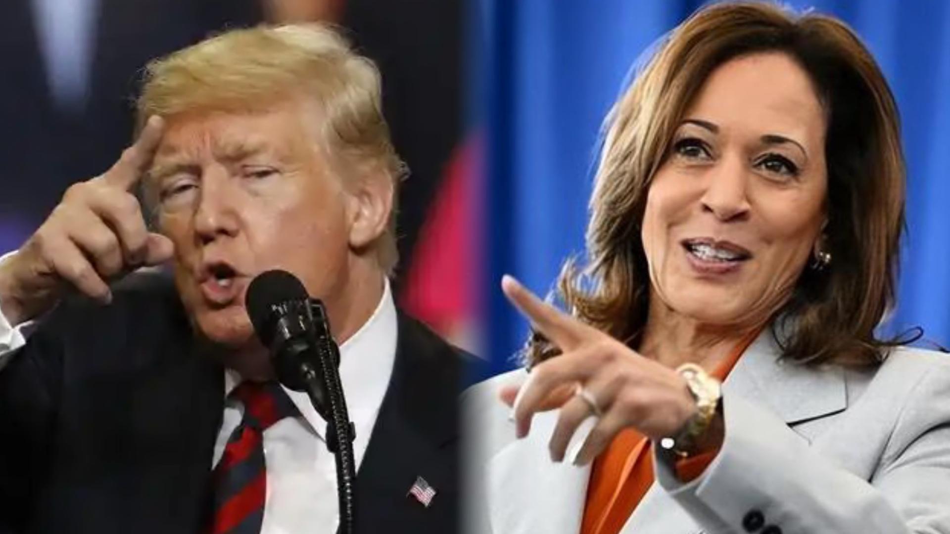 川普在左，哈哈姐在右，中概股是否避无可避？