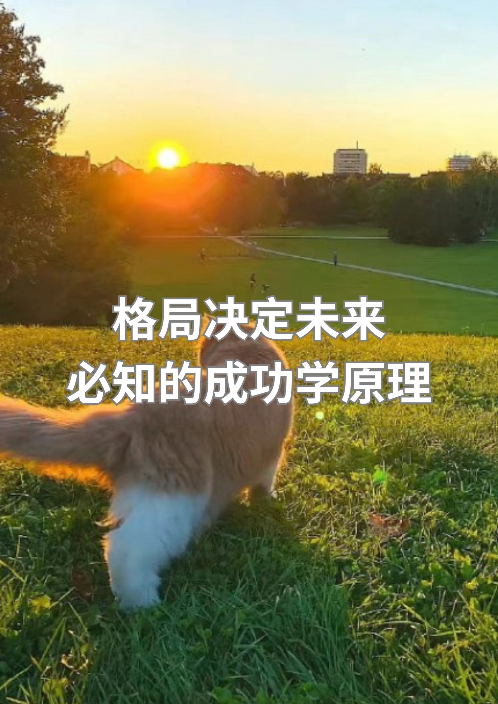 格局决定未来：必知的成功学原理