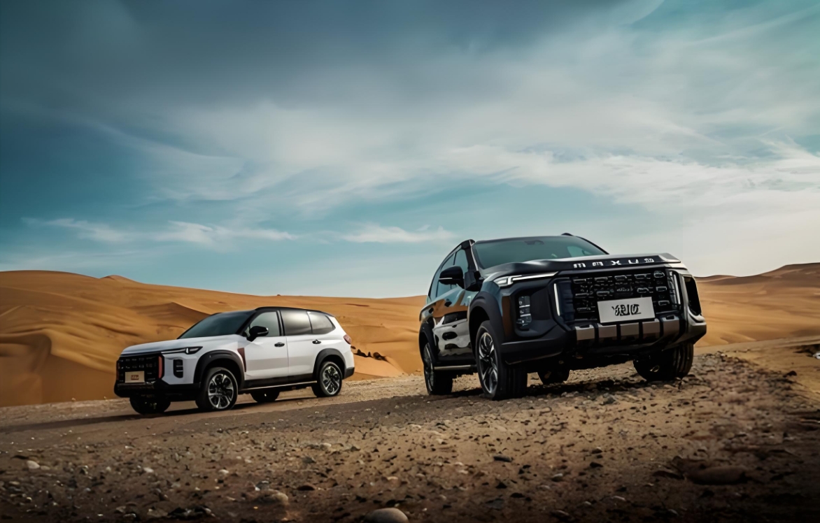 自驾游其实没什么攻略，关键就看你有多少钱。只要钱多，自驾游就会非常享受。
我本身