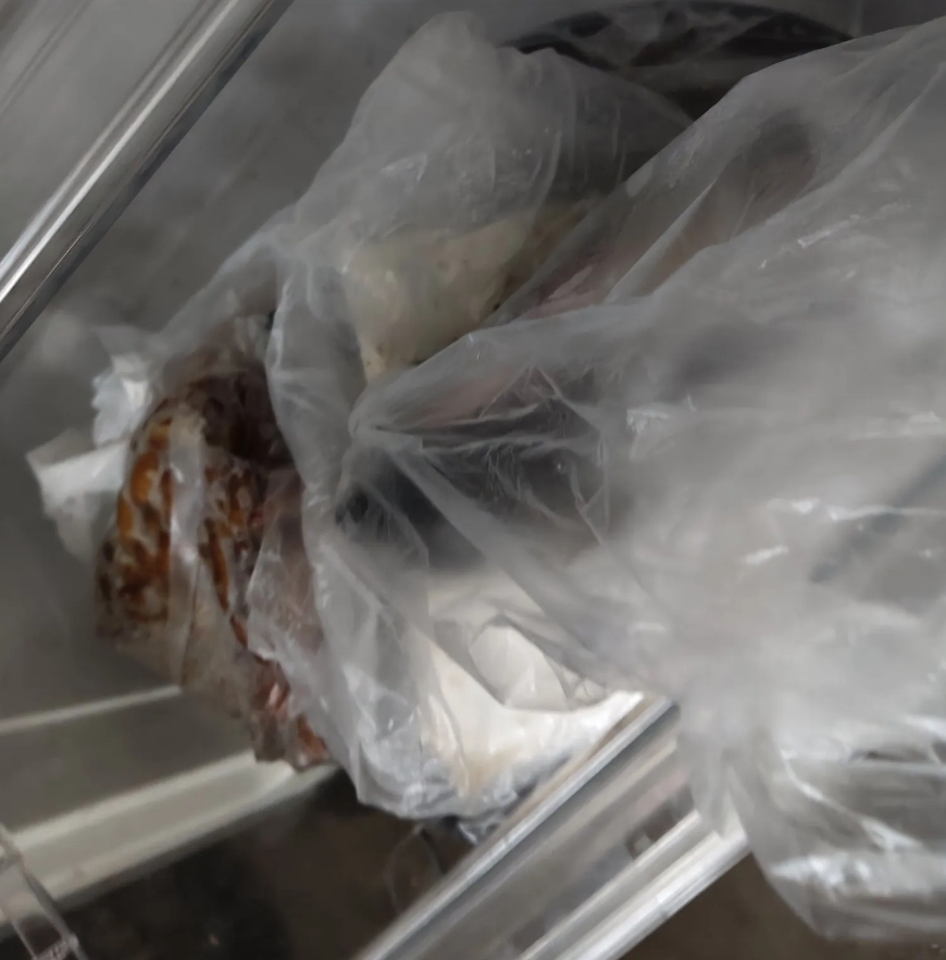 晚上打开冰箱拿肉炒菜，我一看最下面的冷冻 抽屉里面又多了好几条僵尸鱼，我就气不打