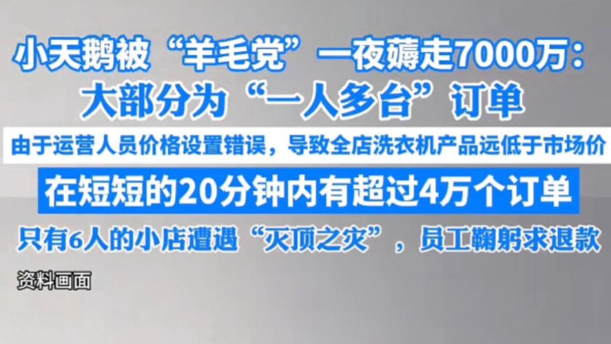 小天鹅被羊毛党一夜薅走 7000 万