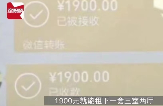 上海。赵女士花了1900元租下了3室2厅的房子，她太高兴了，感觉真是物美价廉，不