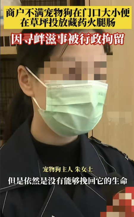 湖北武汉，一名女子发现自己的爱犬在草地上玩了回家后，全身僵硬无法动弹，送去宠物医