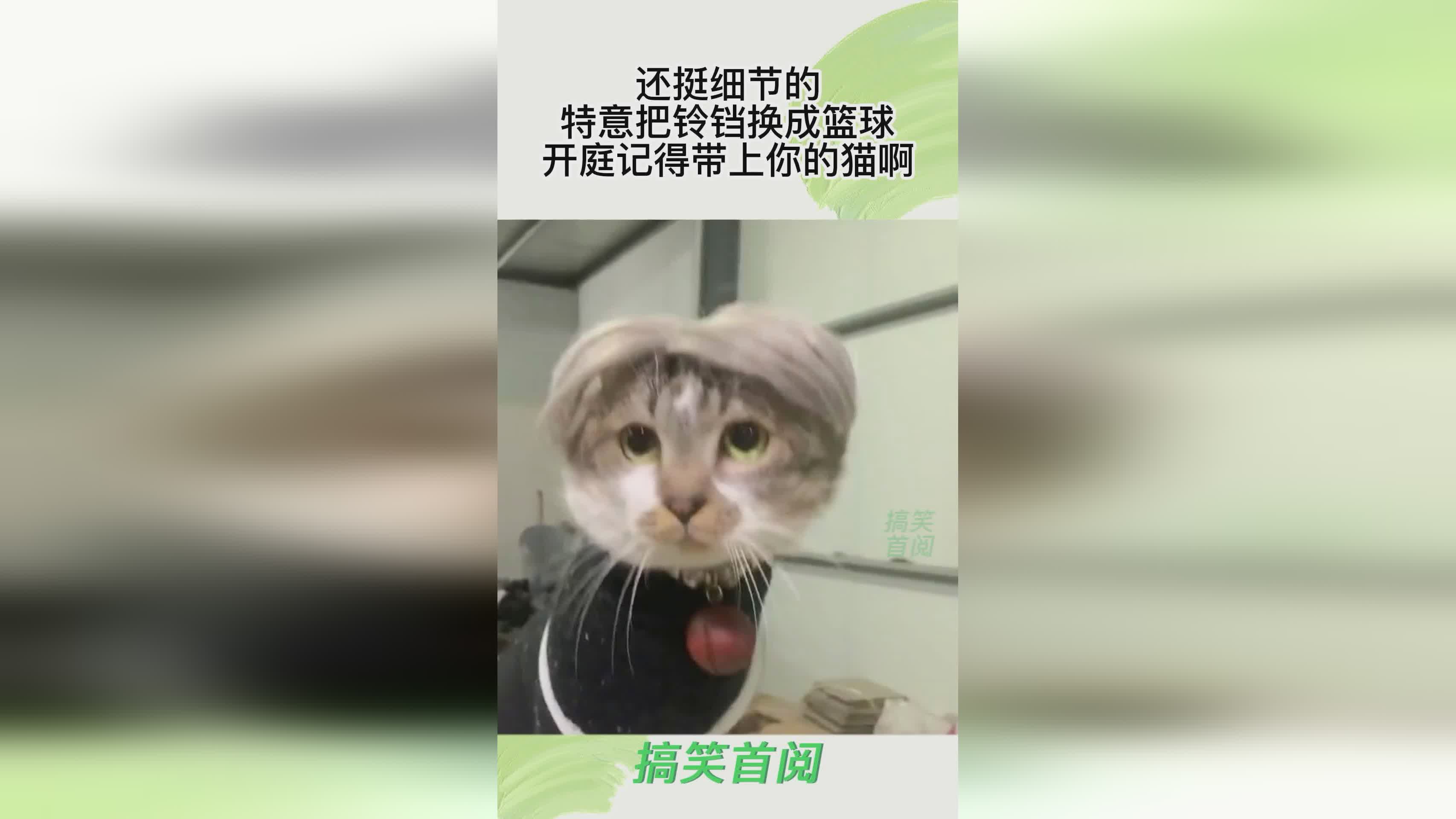 开庭记得带上你的破视频