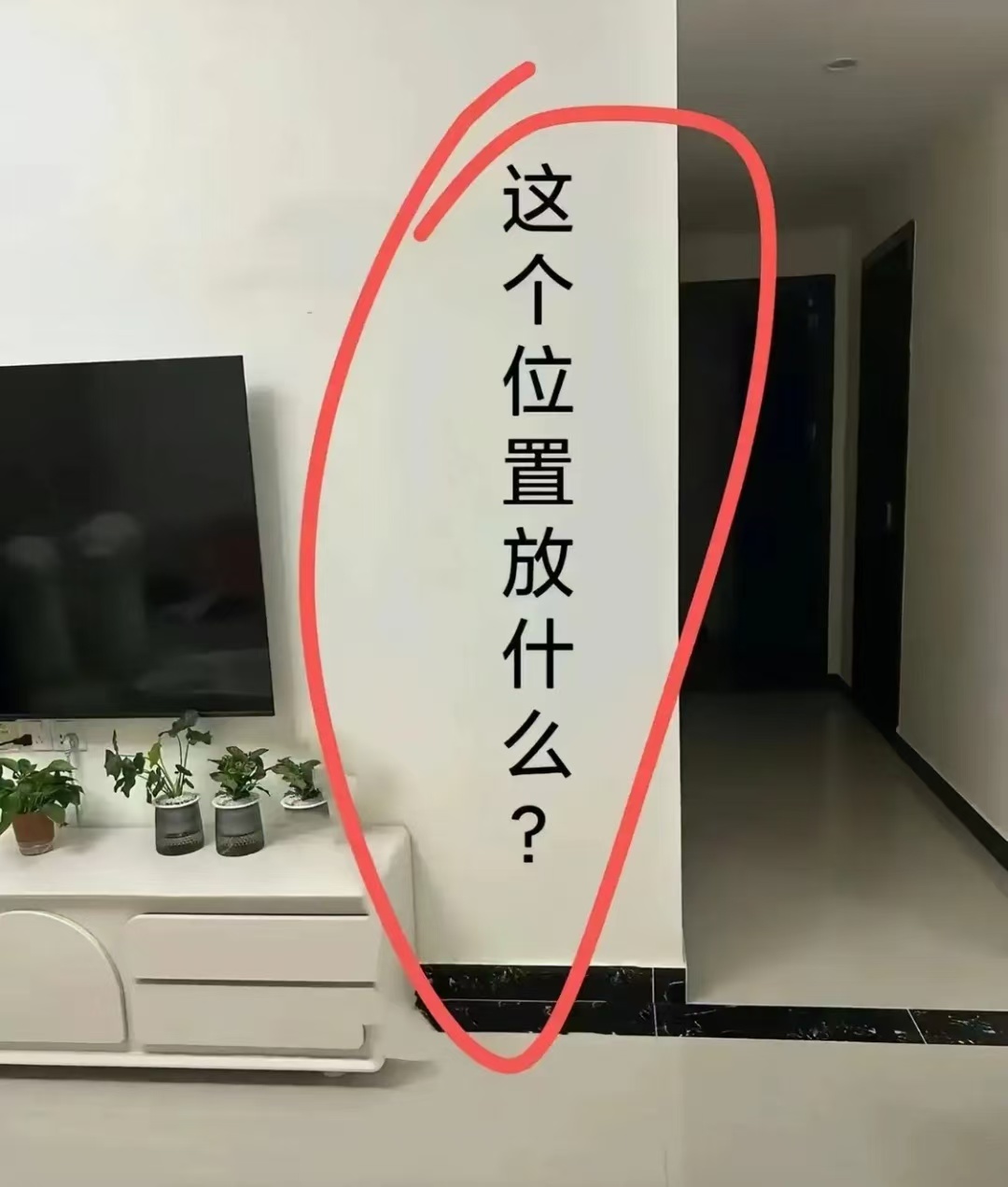 刚装修完，这个位置放什么比较合适