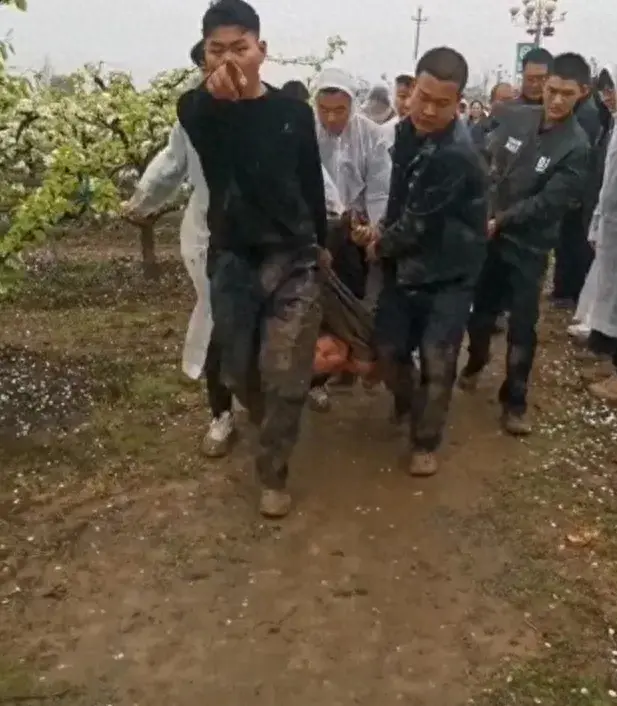 在 “果园遭强拆” 事件中，有一个重要信息值得关注。此前，这片果园经贾柯和叶县政