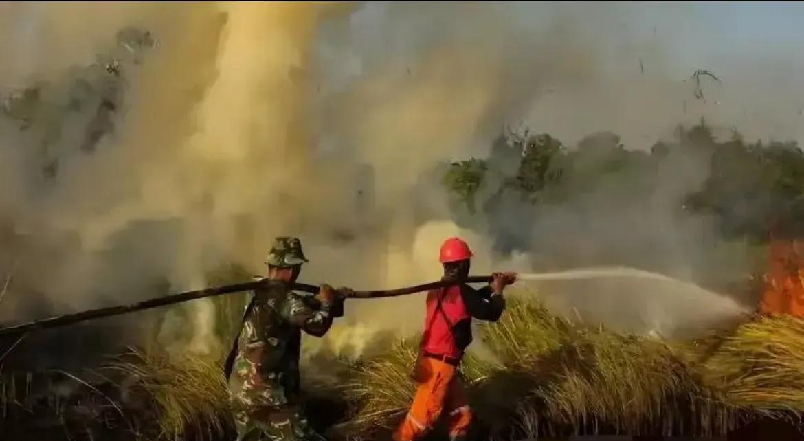 昨天听说加州又着火了，我赶紧问洛杉矶的同学怎么样。
她回我说：“火没烧到洛杉矶，
