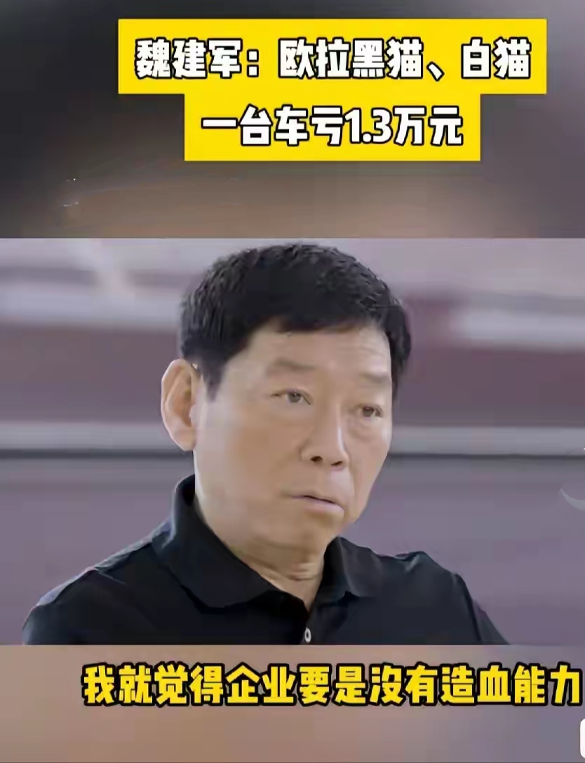 长城魏建军说黑猫、白猫停产，是因为卖一台亏1.3万，月销量超过2万台，一年下来亏