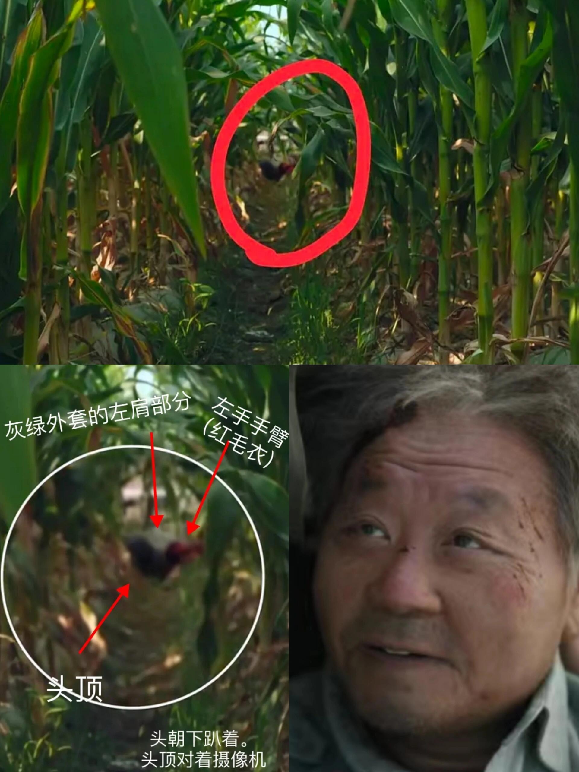 二刷漫长还是没懂，王响的结局是he吗