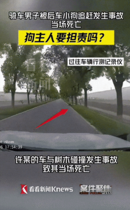 “太奇葩了！”上海松江，一男子骑电动车过程中，遭到宠物狗追赶，因只顾着看后方，导
