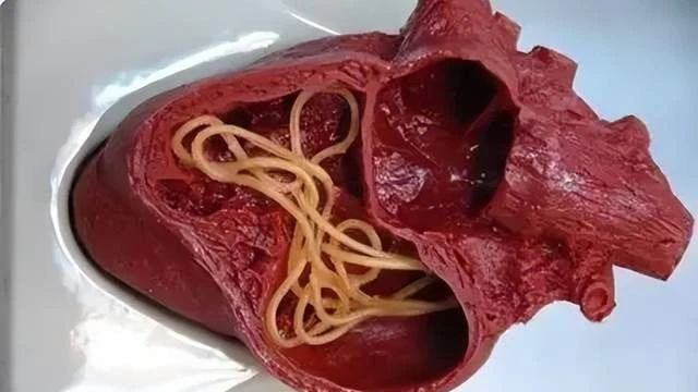 夏天到了，有一种“虫”你给猫咪驱了吗？