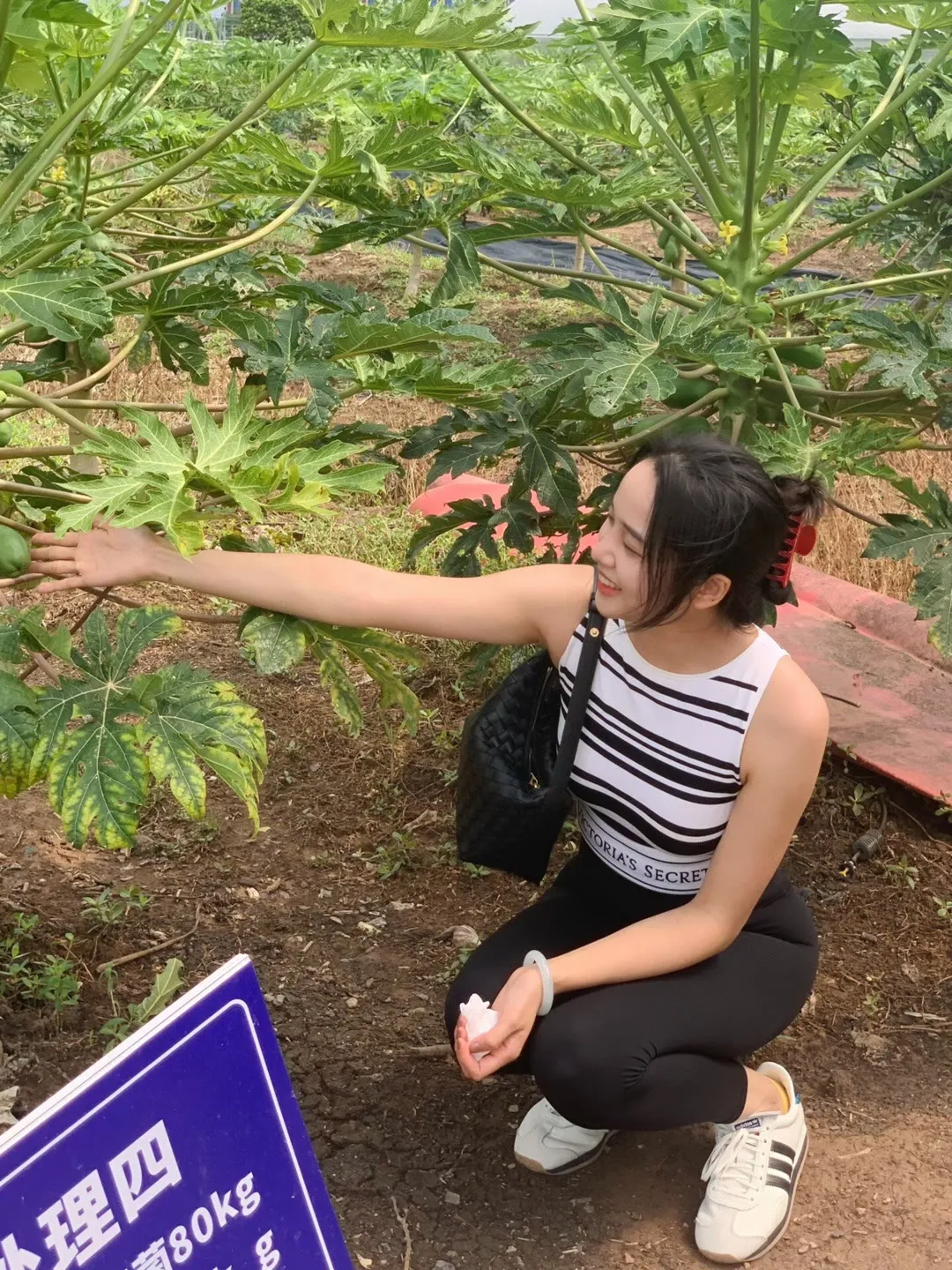 蹲这儿干啥呢？看了半天没整明白[捂脸]