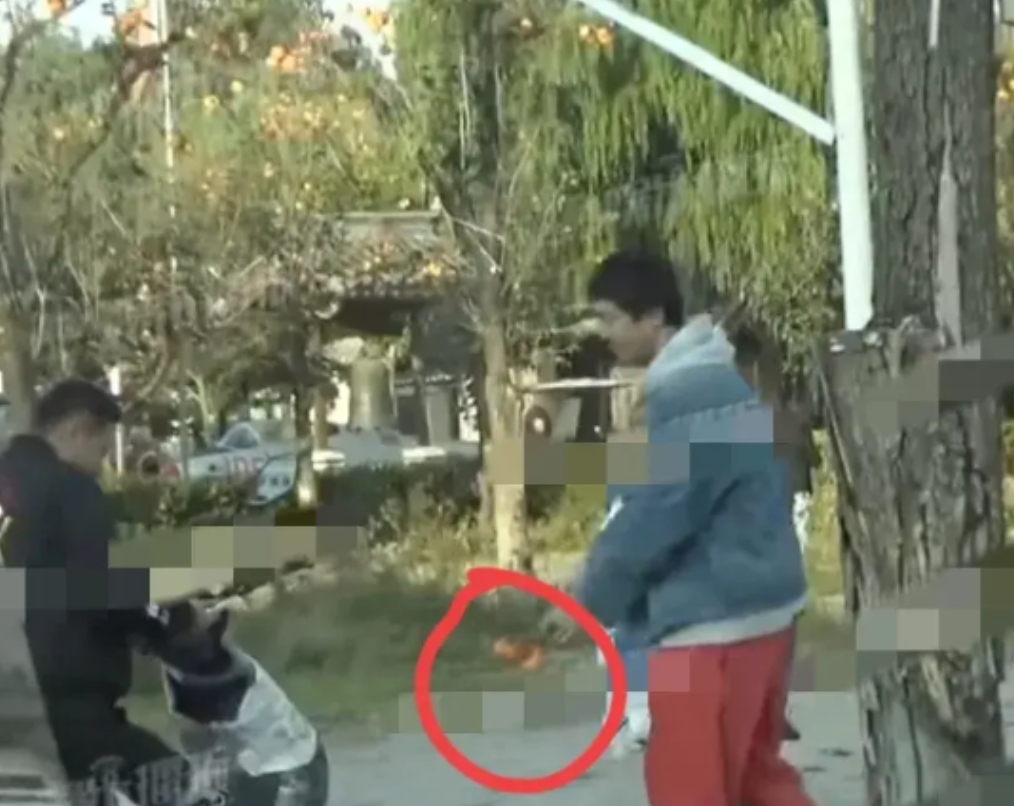 王传君为女儿交罚款摘柿子，我个人认为没任何问题，这事根本不是什么你交钱就可以为所