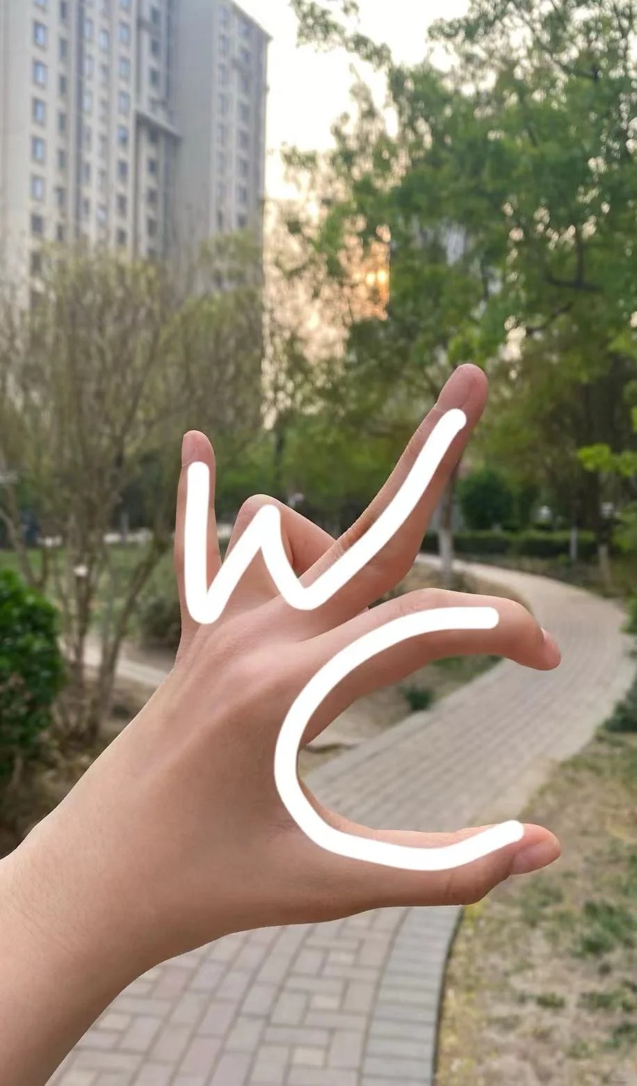 #以后就比这个手势