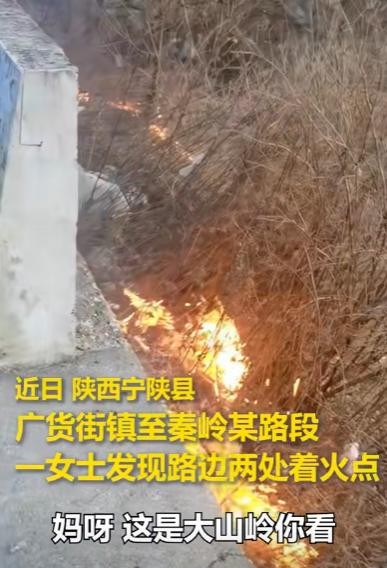 1月12日，陕西一位大妈和家人去秦岭游玩，返程途中发现路边野草着火。秦岭山上草木