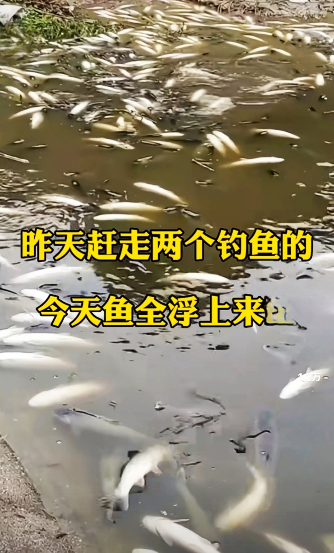 如果这事是真的，钓友有点过份了啊！