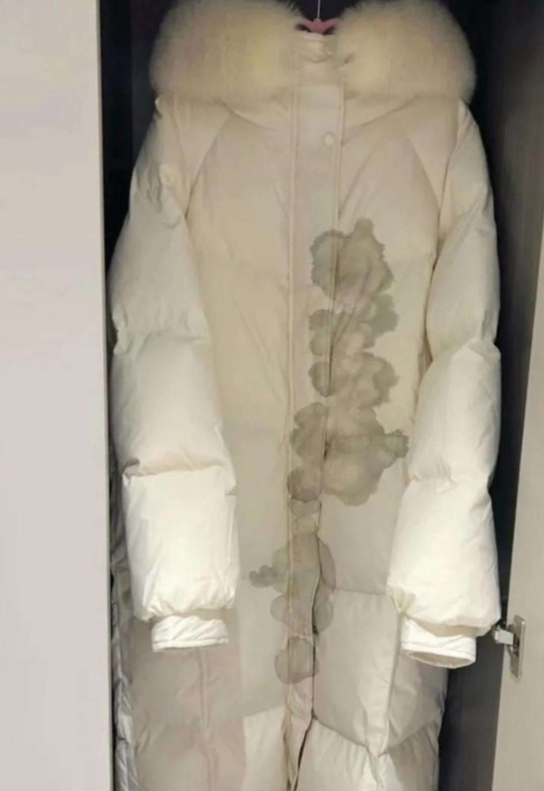 好好的一件羽绒服被一泡老鼠尿毁了！