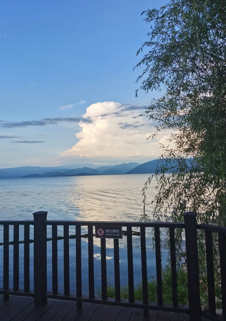 论打劫的艺术，拜登很显然要比特朗普略胜一筹，因为他搞的金融战，要更有技术含量，不