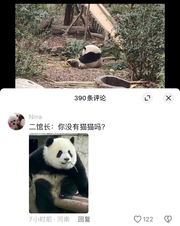 你自己没有猫猫吗？去看别家的？