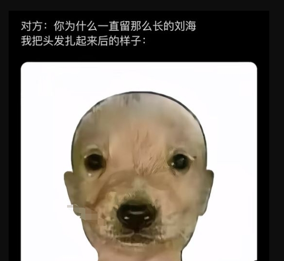 还是放下刘海吧