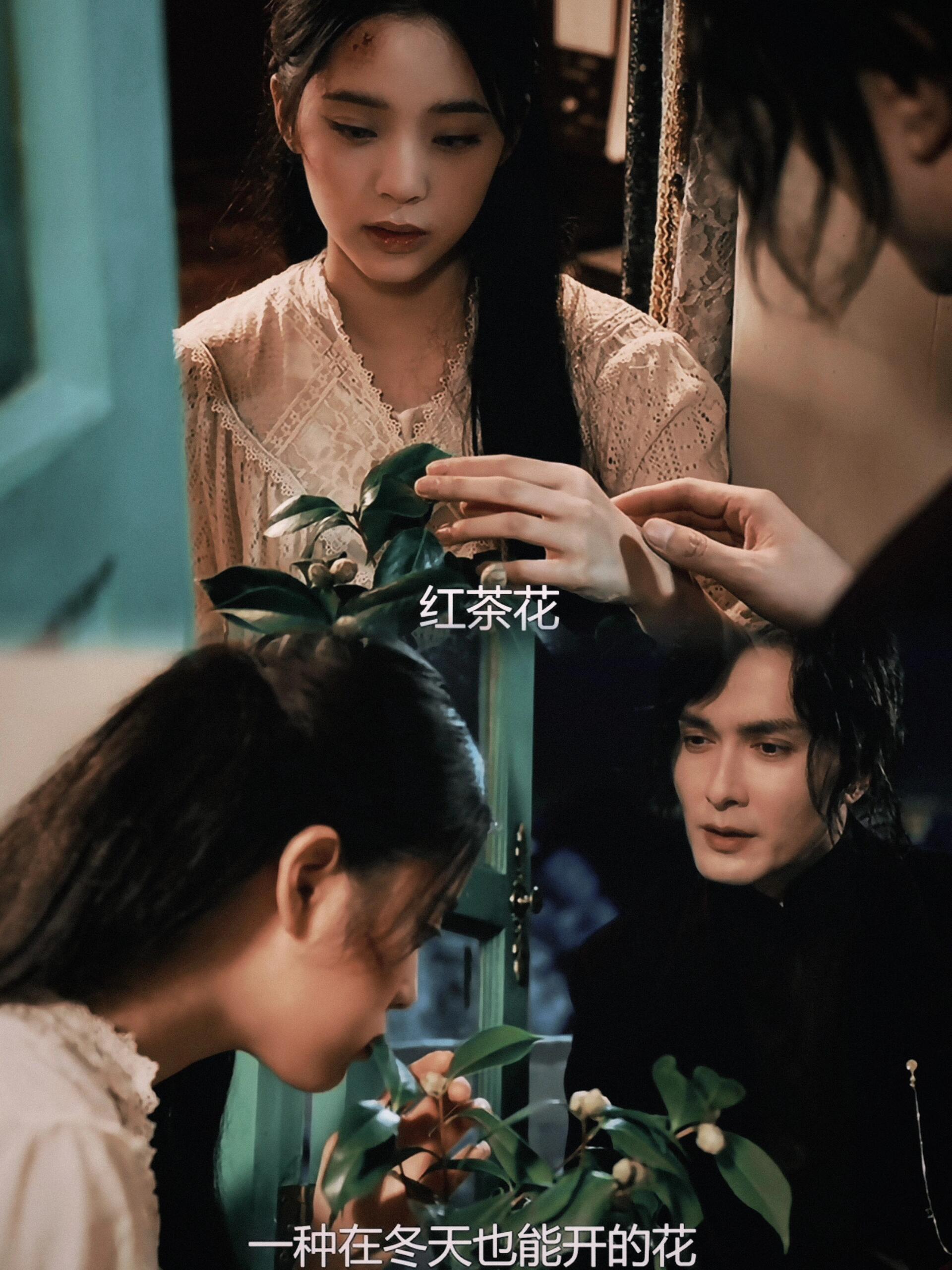 一盆花一扇窗台一个响指，后来她都在等你来