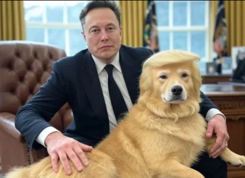 谁敢说首富就一定能事事顺心？
马斯克也有痛苦的时候！
马斯克上任第一天就直接砍掉