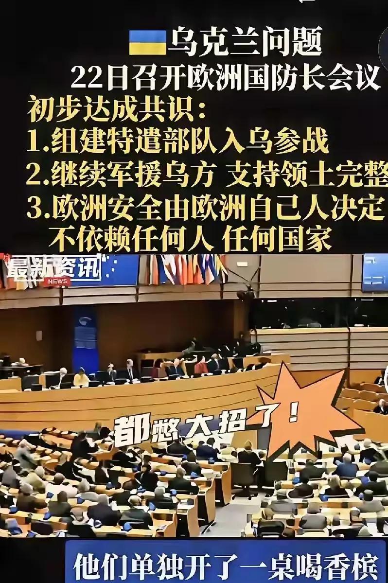 欧洲这是要同老特对着干？北约怎么办？到底听谁的，听美国的就要老实的从乌克兰抽回指