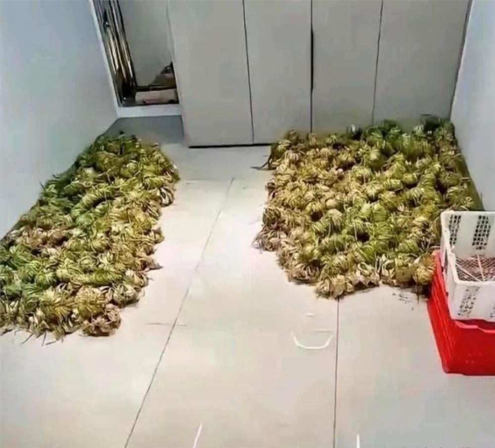 我就出差了几天，一回家直接傻眼。屋里堆得满满当当，全是些不知名的东西。我这火噌地