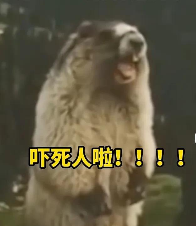 吓死人了！俩男孩在电梯旁等人进去，趁电梯门快关时，竟然扔炮仗进去炸人。
物业公司