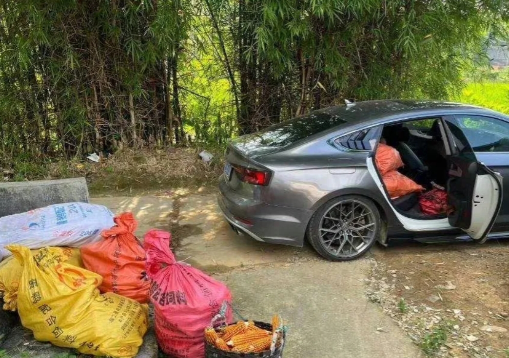父母从不在乎你开什么车！