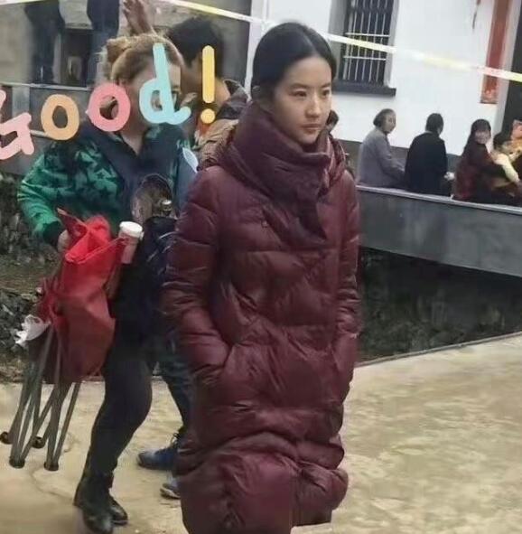 刘亦菲是真的演不了农村人