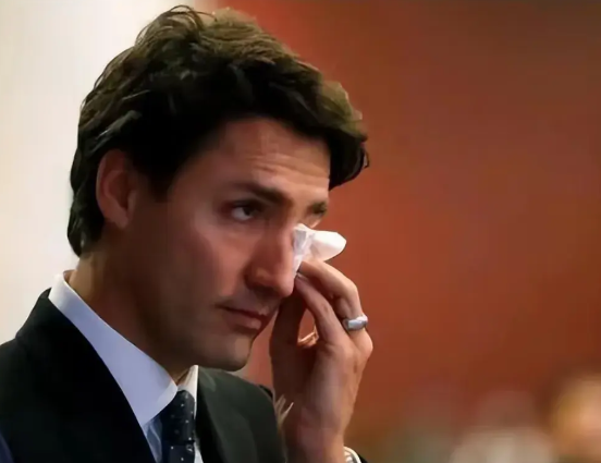 让人费解的加拿大！
日前，多位加拿大前总理聚集并声明，反对加拿大成为美国的第51