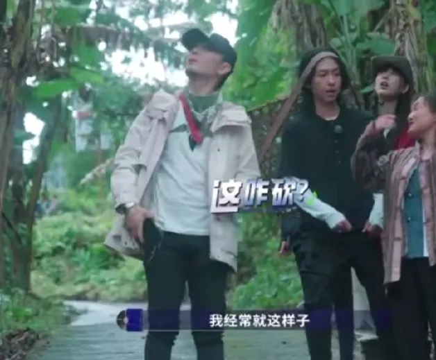 张淇他们几个想要弄点香蕉吃，结果香蕉园的老板直接给他们表演了个砍树现场。张淇一看