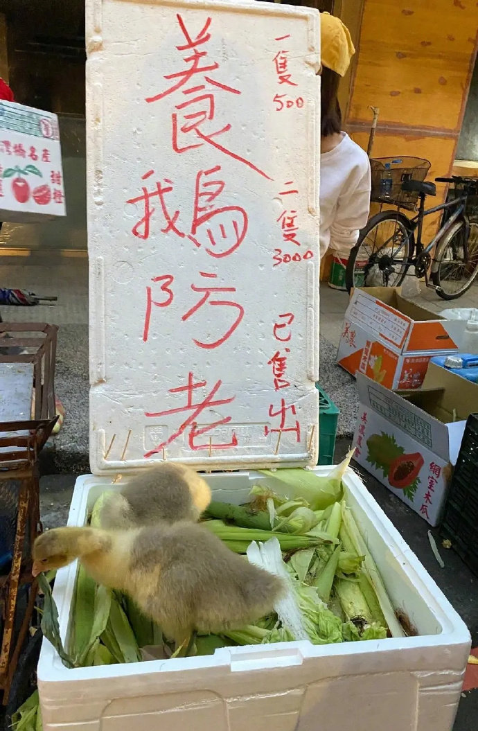 保存的一些街头照片 